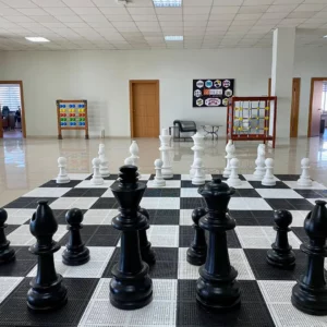 Öztepe Plastik Satranç Ekipmanları